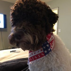 Meet your Posher, Lok yee